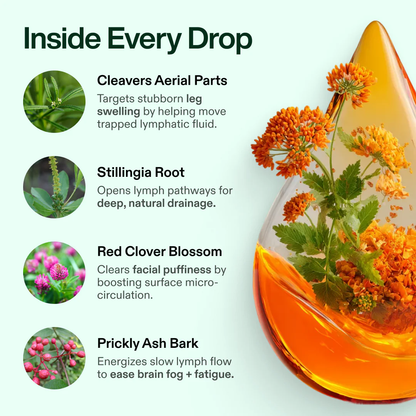 Lymphatic Drainage Vitality Drops